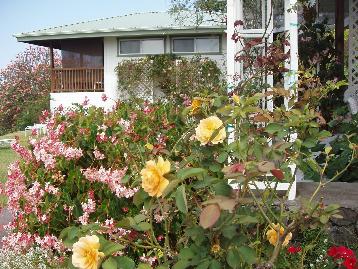 Belle Vue Kona Inc Bed & Breakfast Captain Cook Eksteriør bilde